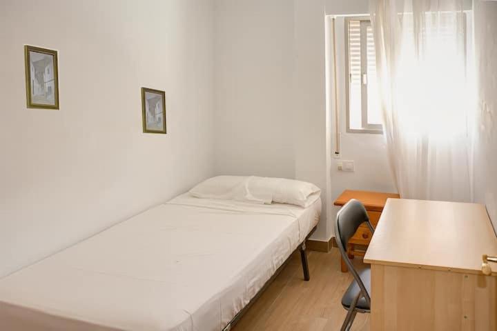 Amplio Appartement